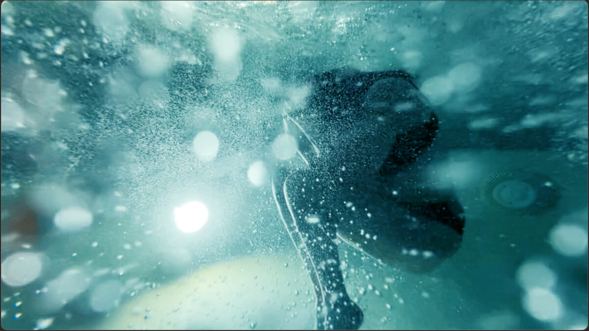 Metamorphoses — META trailer